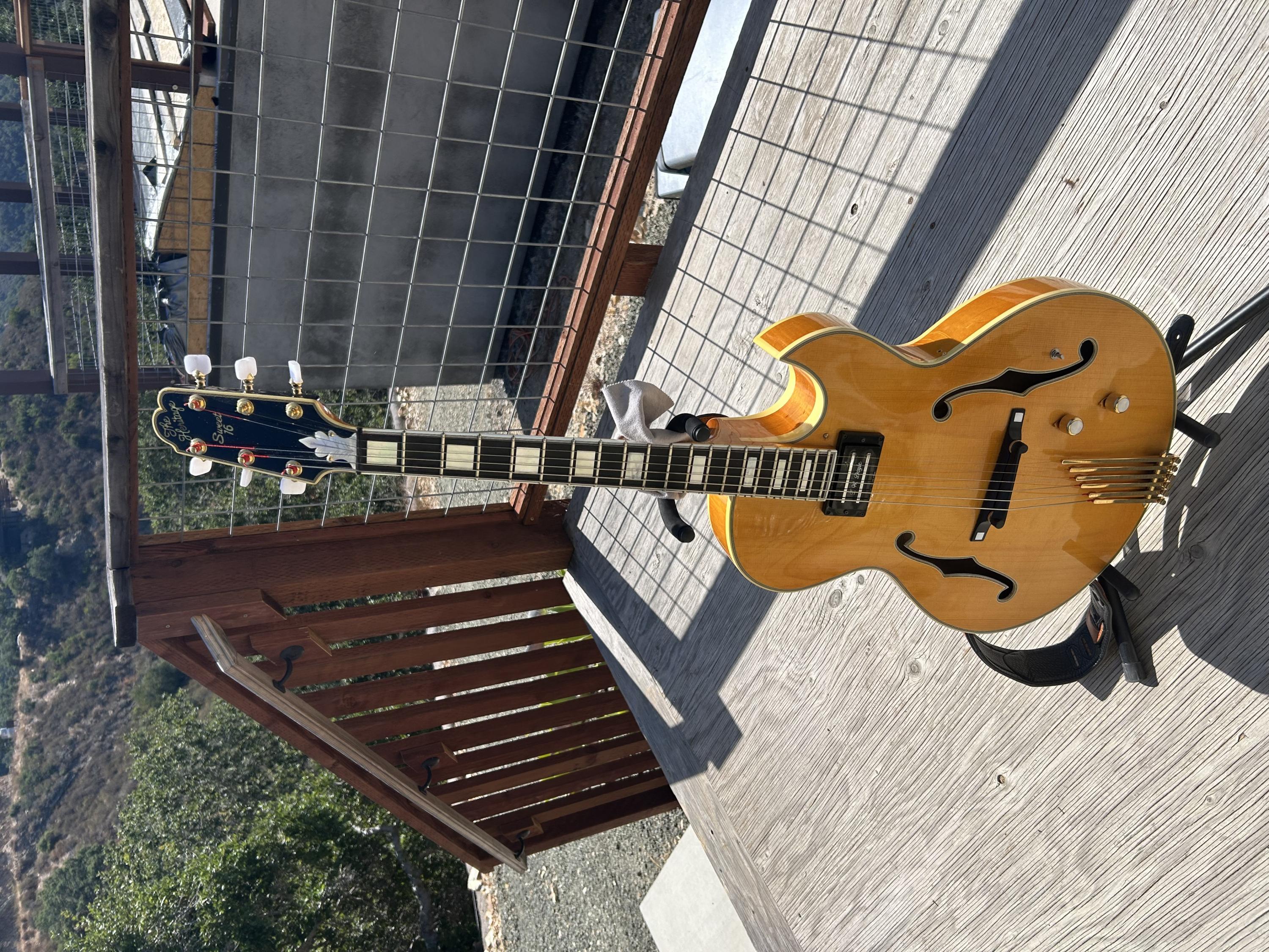 Mounted humbucker on x braced archtop-img-0565-jpg