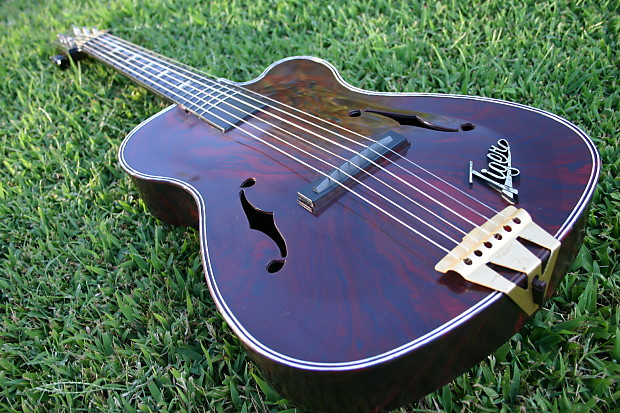 The dilemma of Fender guitars-tiger-guitar-jpg