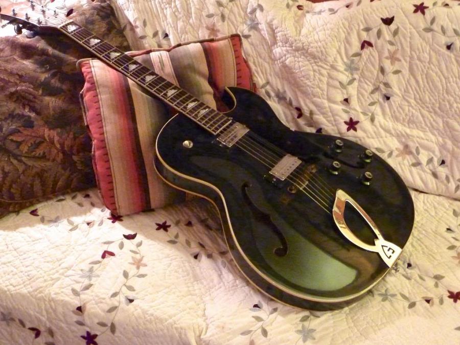 All-mahogany hollowbodies-p1020708_zpsdce91787-jpg