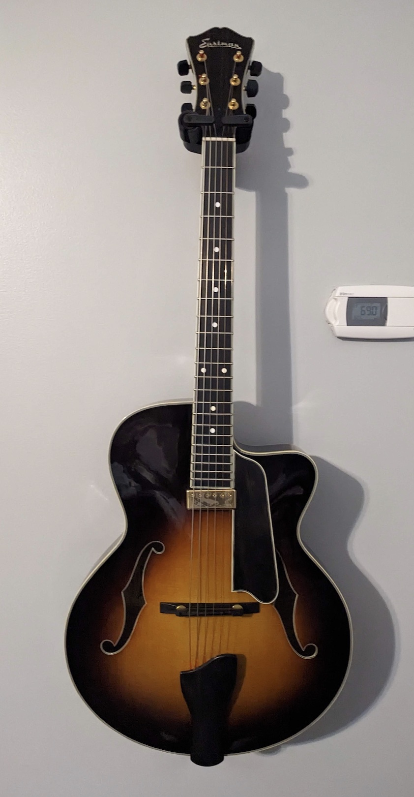 NGD Unusual Eastman AR805ce
