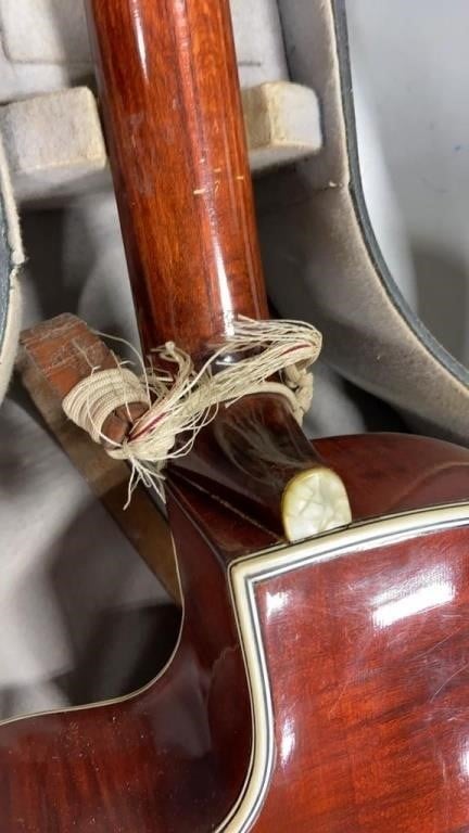 Help to identify German Archtop Please-img-12-axd-jpeg