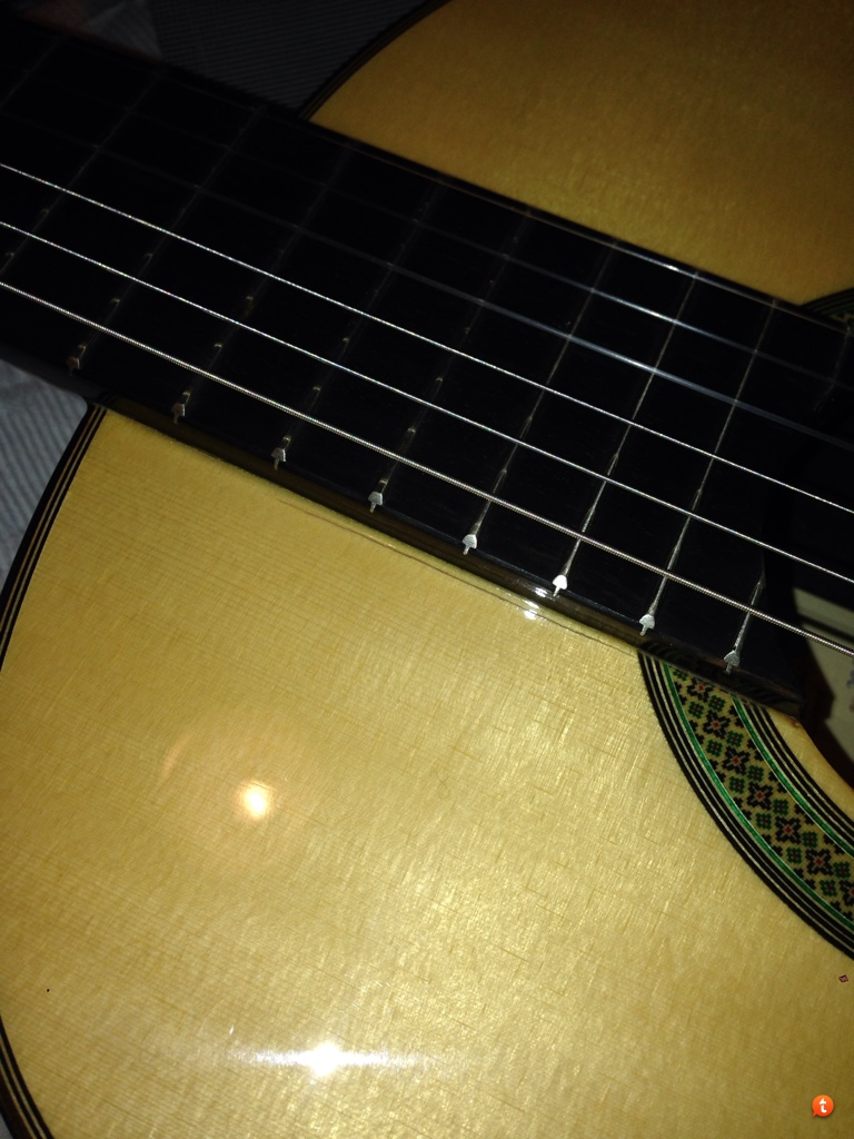 Gibson using richlite instead of ebony ...-ebony-caused-crack-jpg