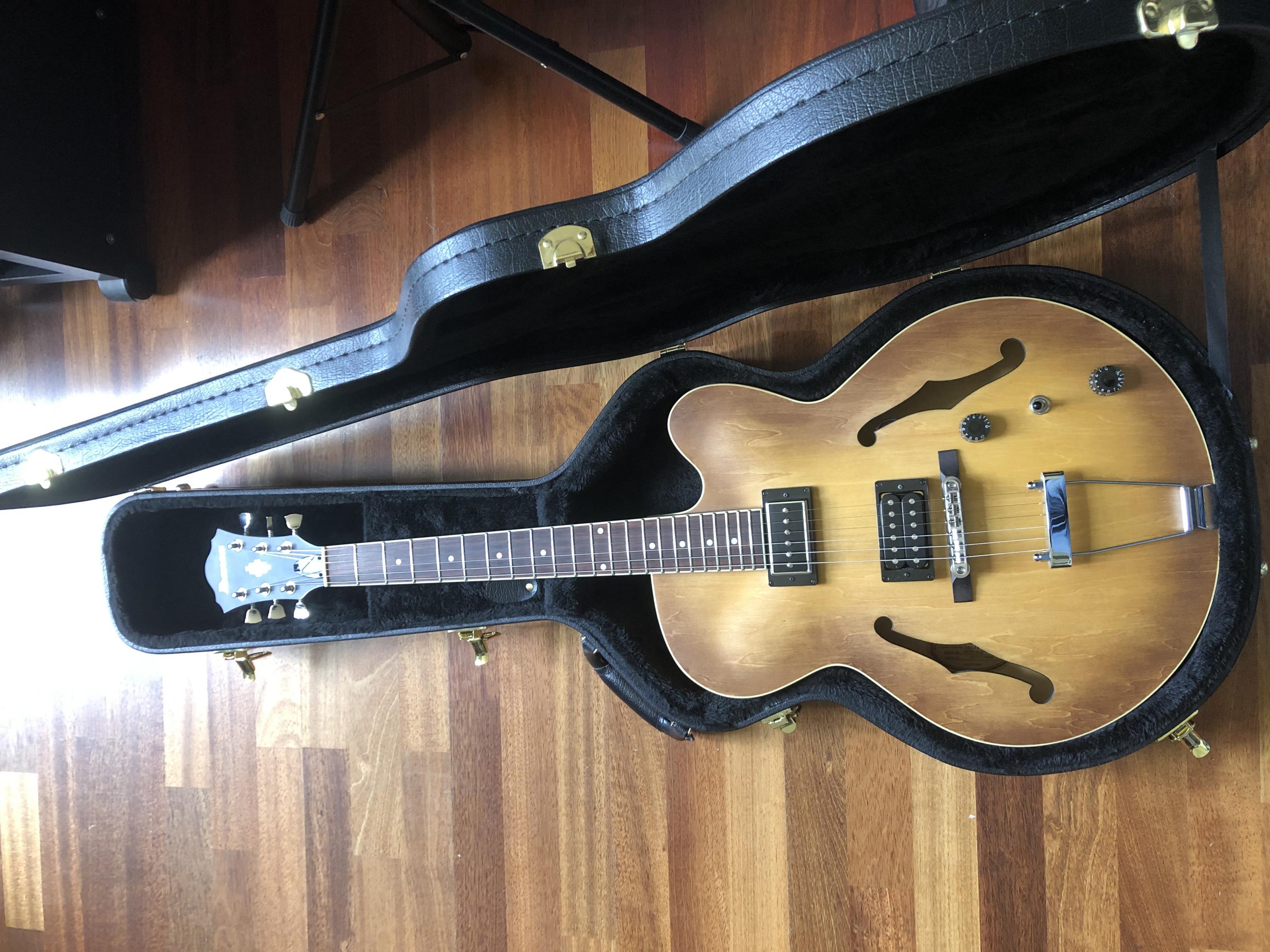 Ibanez af75 case discount
