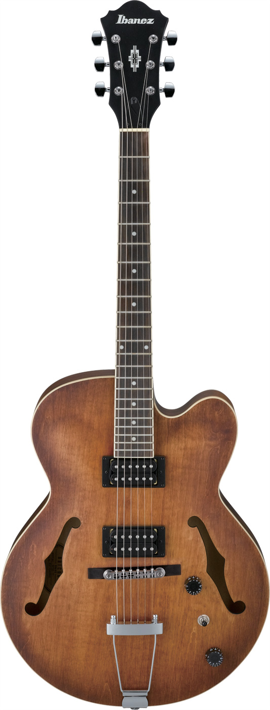 Opinions on mid-priced archtops ?-af55tf-jpg