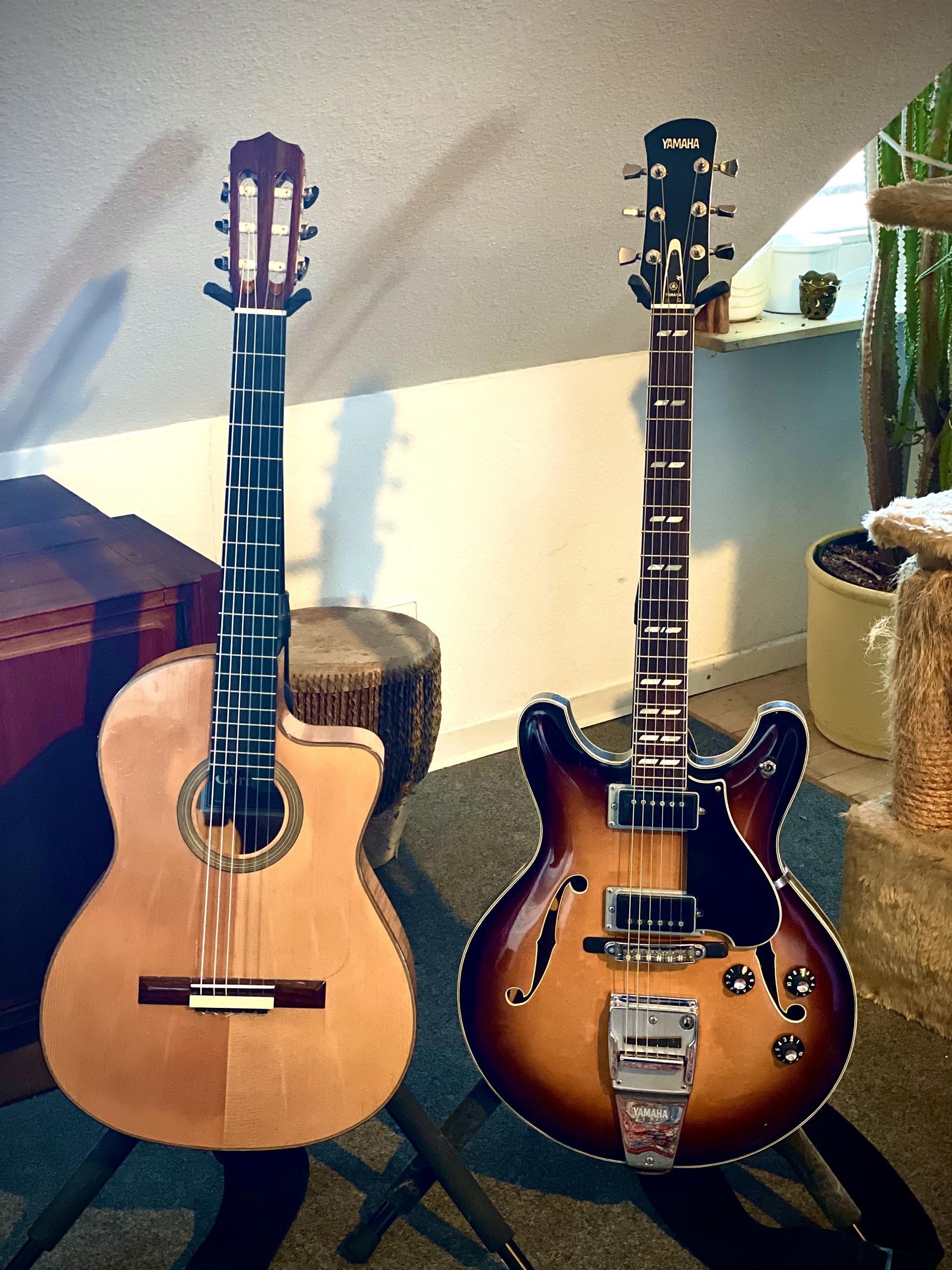 Inexpensive Guitars that you Love-img_8623-jpg