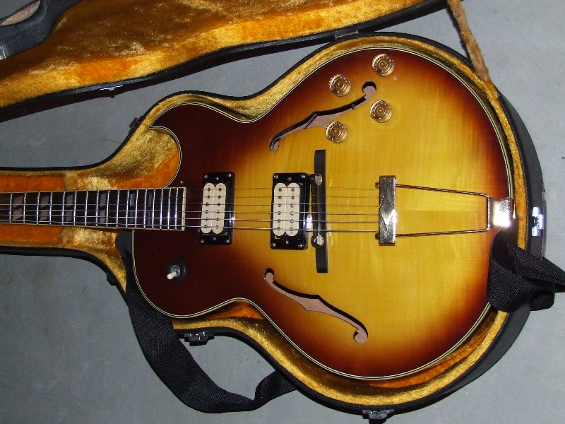1970s DiMarzio PAFs - Anything special or better options?-ibanez-fa-jpg