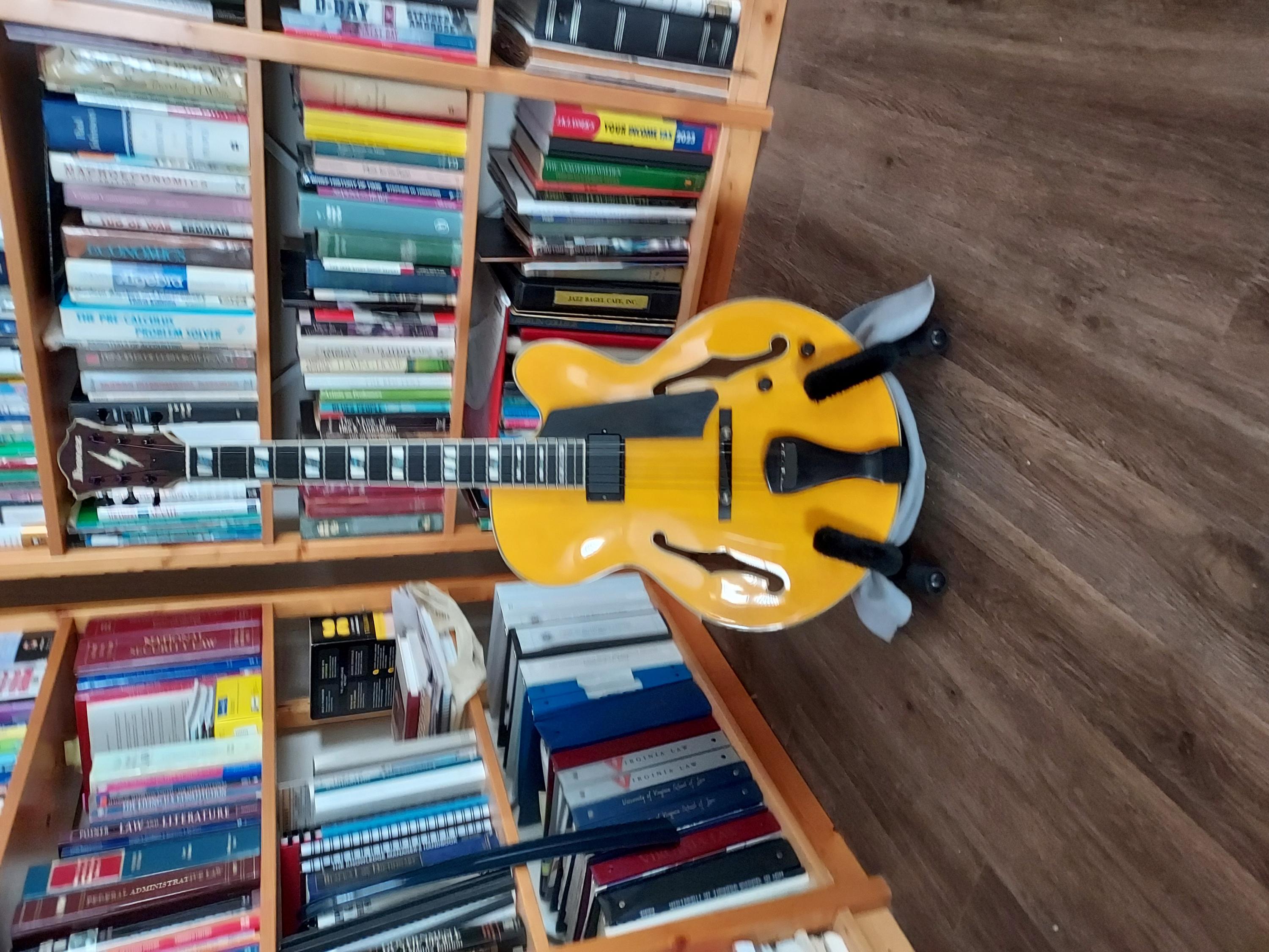 Ibanez PM2 Redux-20240119_102111-jpg