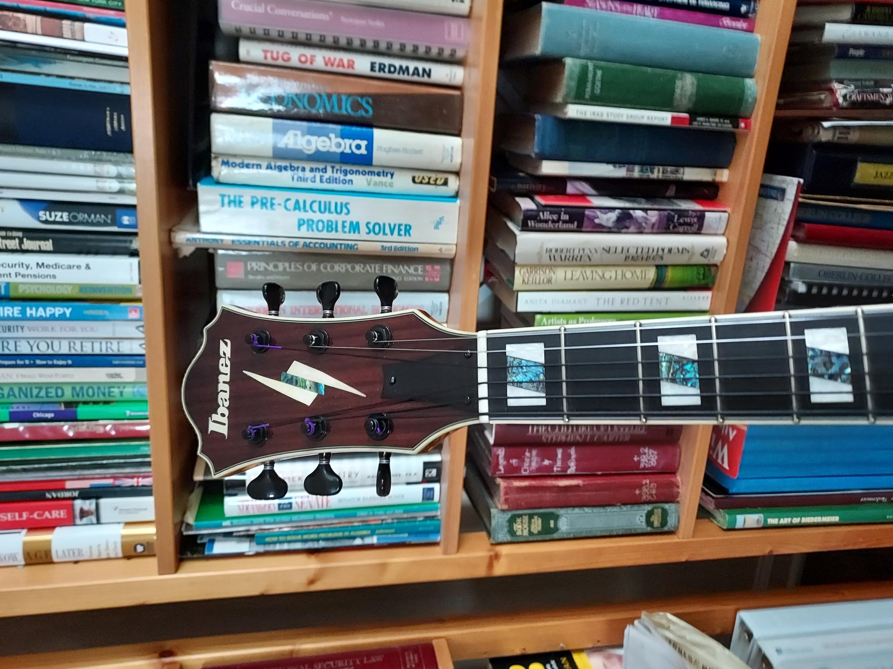 Ibanez PM2 Redux-20240119_102058-jpg