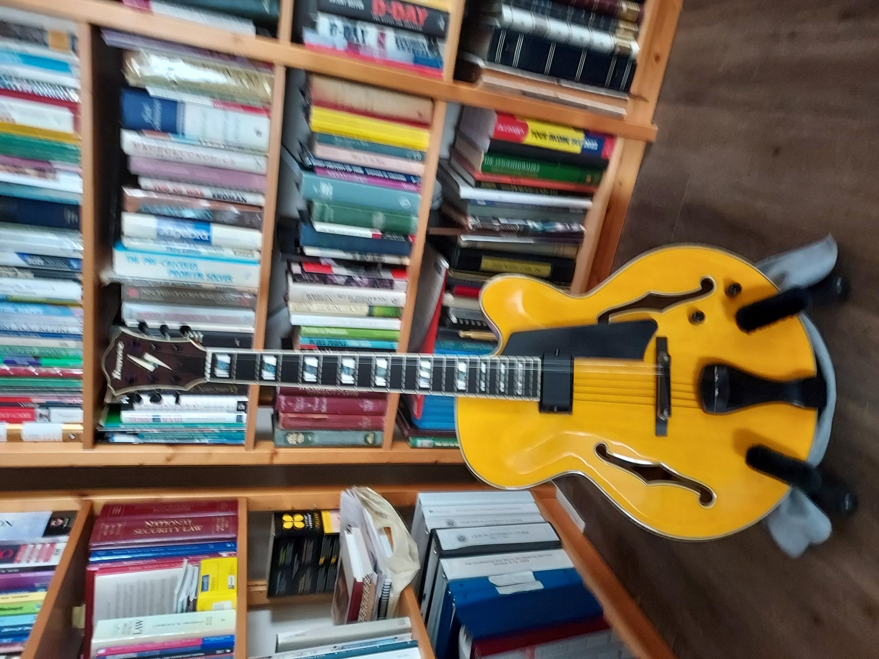 Ibanez PM2 Redux-20240119_102052-jpg