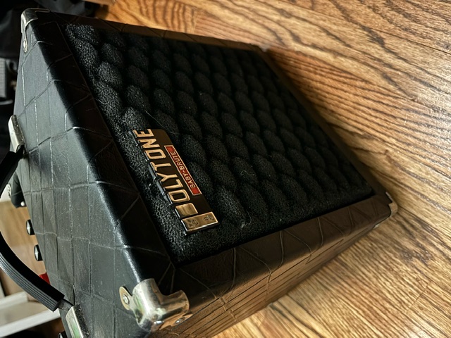 Polytone Baby Brute Reverb help on repairs-baby-brute-2-jpeg