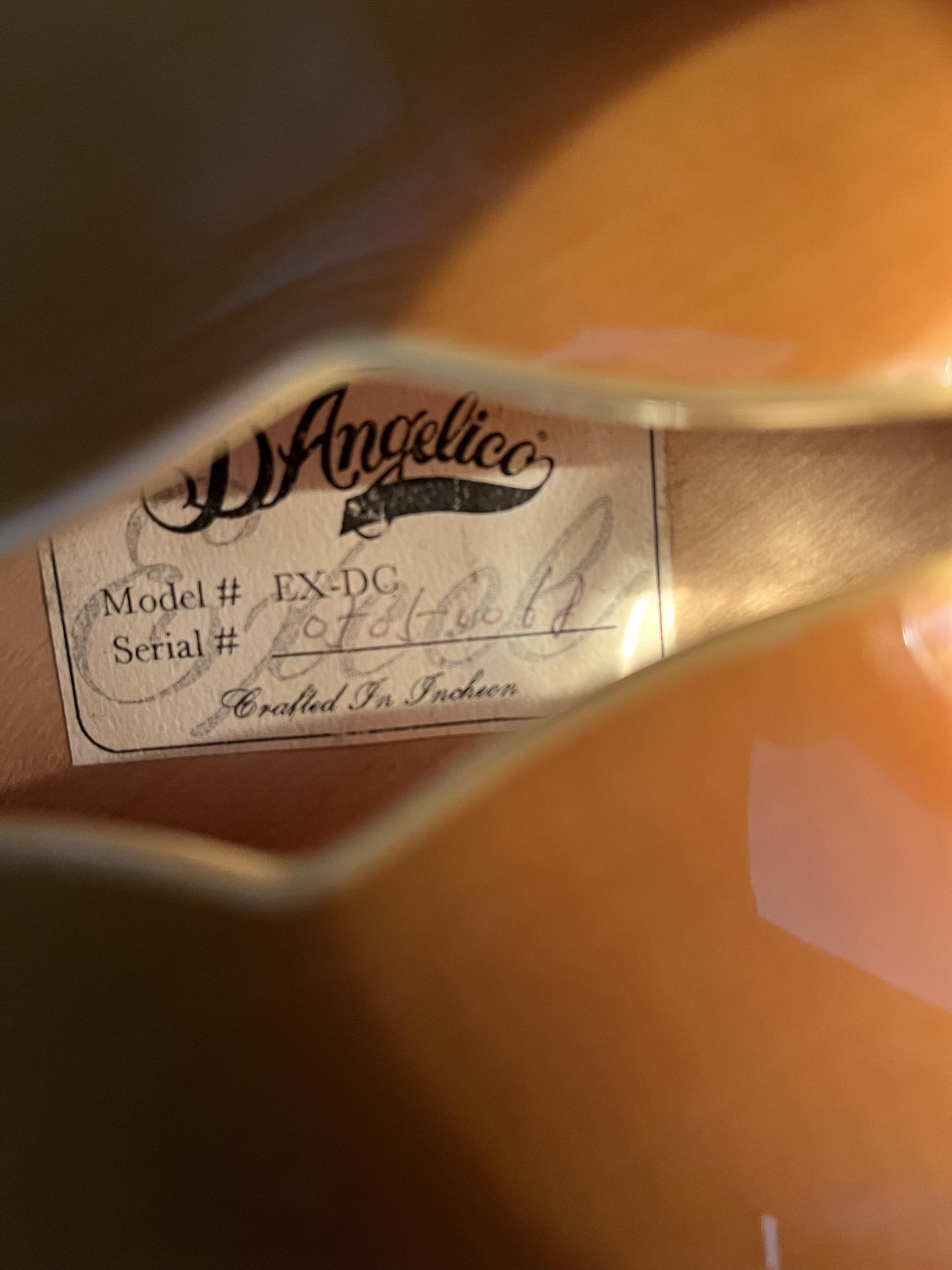 Vintage D'Angelico electrics-img_5273-jpg