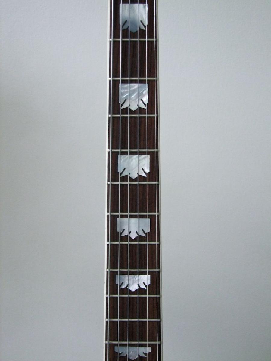 A Fine Collection Of Beautiful Archtops (Get Your Hand Cream Ready :-)))-dscf3281-jpg