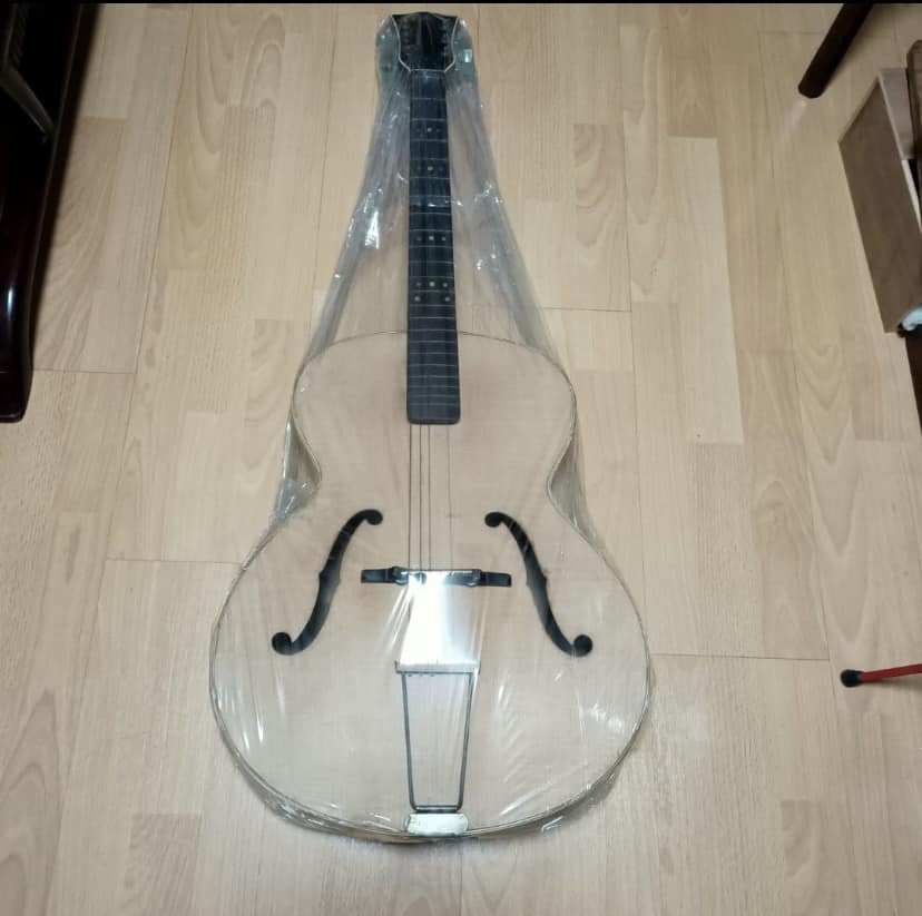 Older Hofner Archtops?-1-jpeg