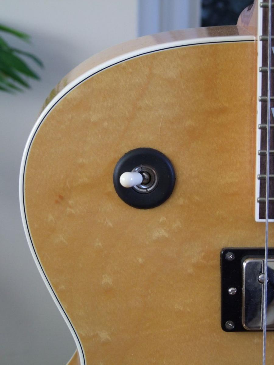 A Fine Collection Of Beautiful Archtops (Get Your Hand Cream Ready :-)))-dscf3080-jpg-jpg