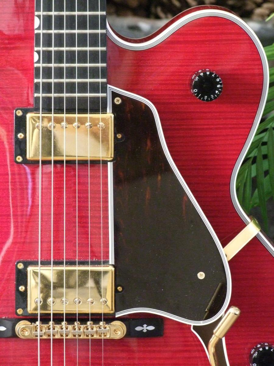 A Fine Collection Of Beautiful Archtops (Get Your Hand Cream Ready :-)))-dscf2739-jpg