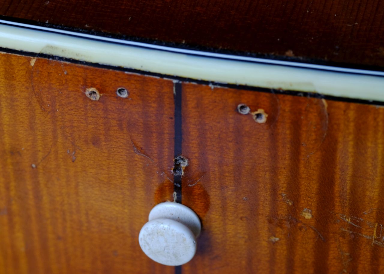 Vintage German Archtops-dscf7145b-jpg