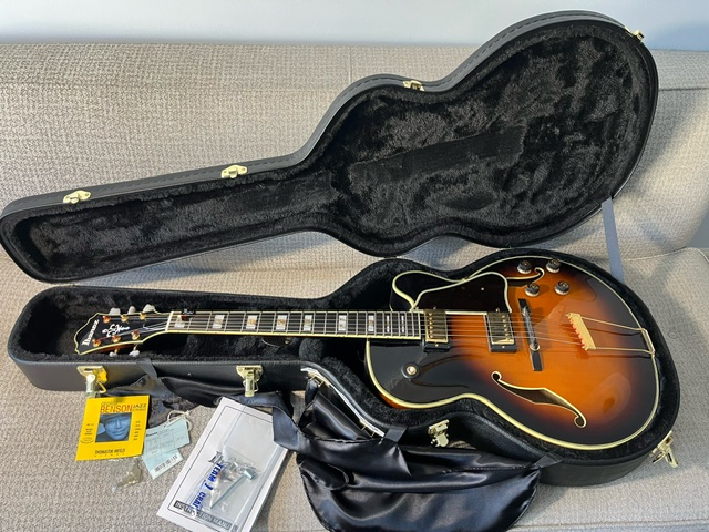 Jazzkritter's guitars-af200bs-jpeg