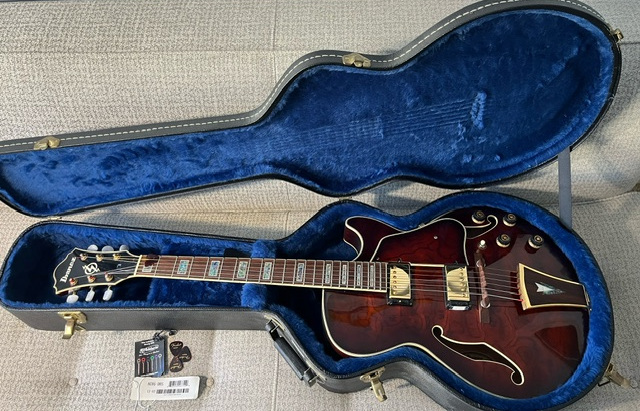 Jazzkritter's guitars-ag95-jpeg