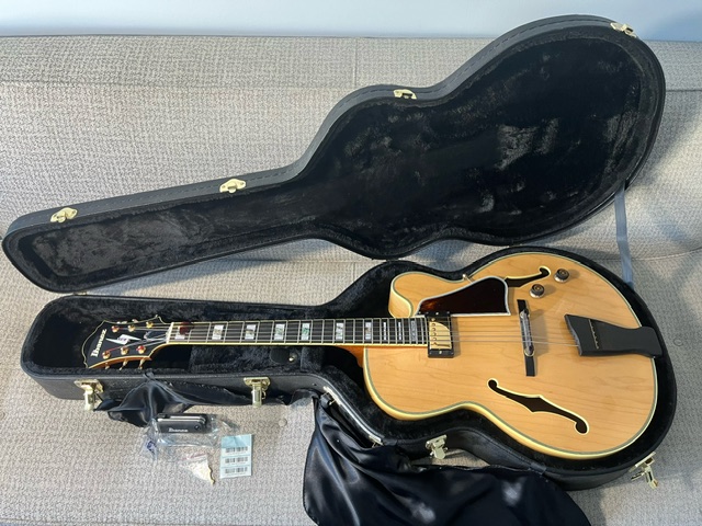Jazzkritter's guitars-pm200-jpeg
