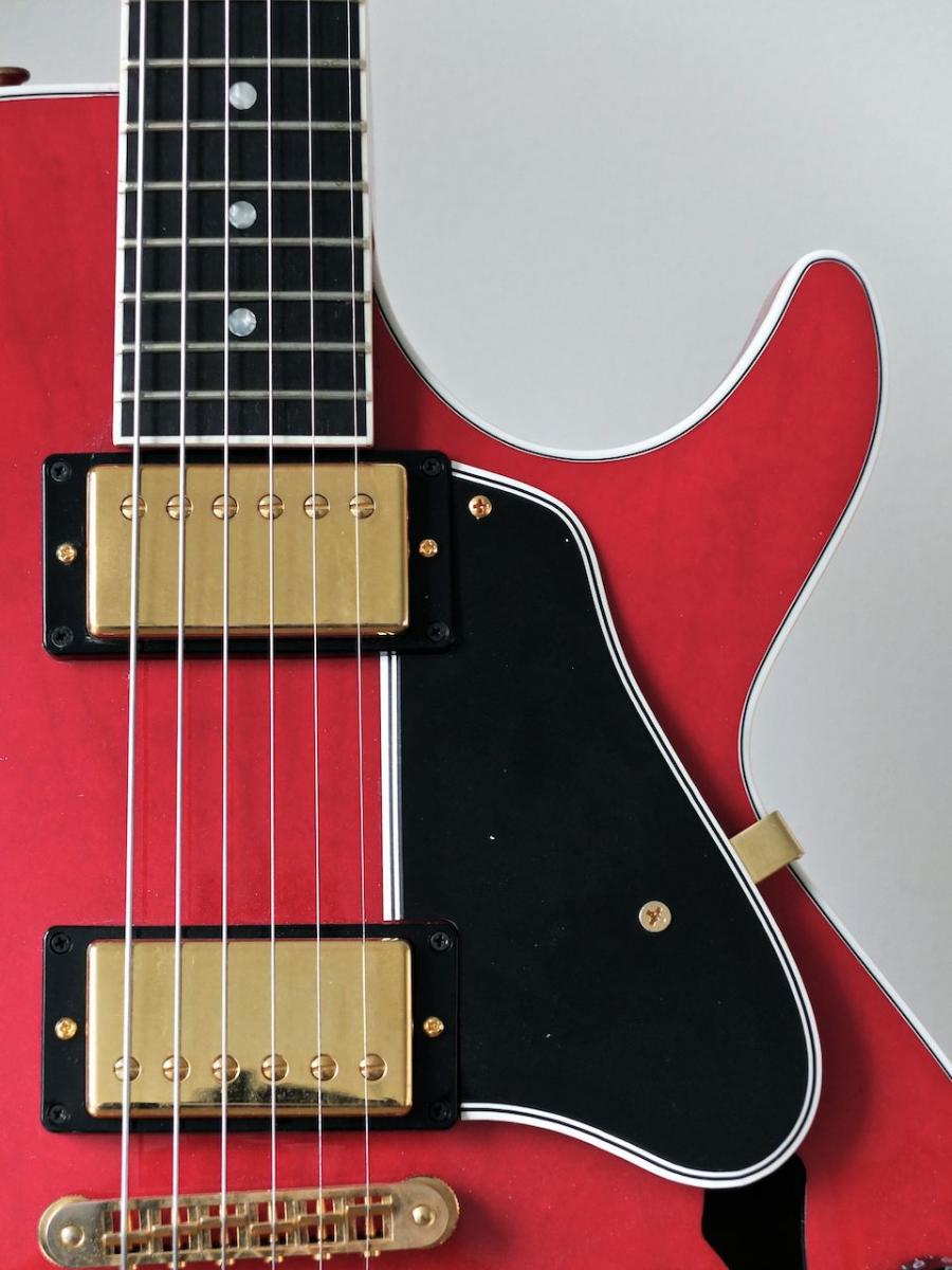 A Fine Collection Of Beautiful Archtops (Get Your Hand Cream Ready :-)))-dscf1063-jpg