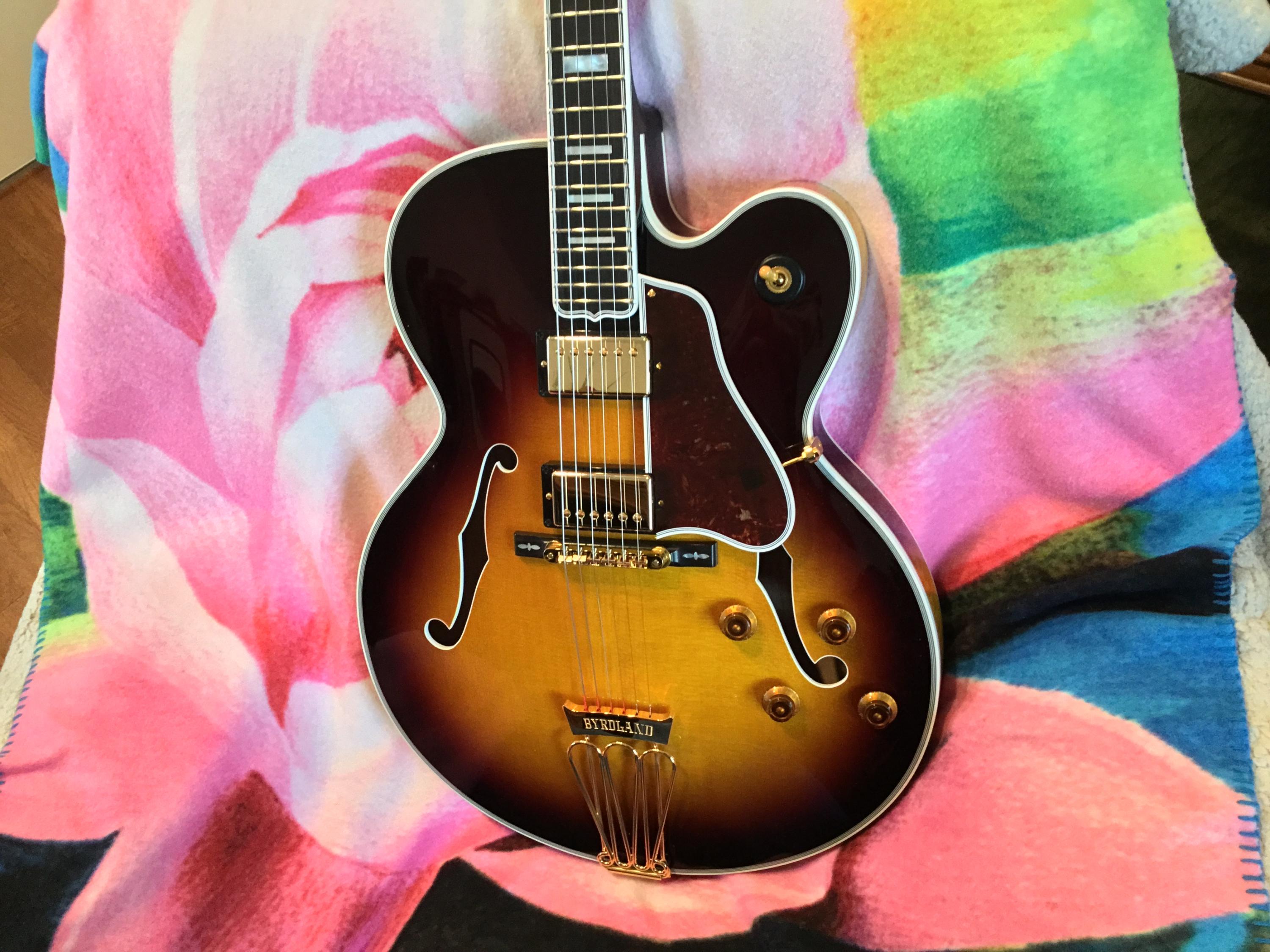 L5 CES Pickguard Dimensions-img_0229-jpg
