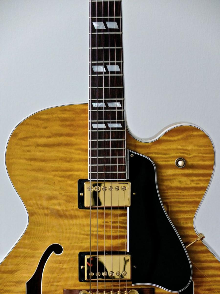 A Fine Collection Of Beautiful Archtops (Get Your Hand Cream Ready :-)))-dscf1309-jpg