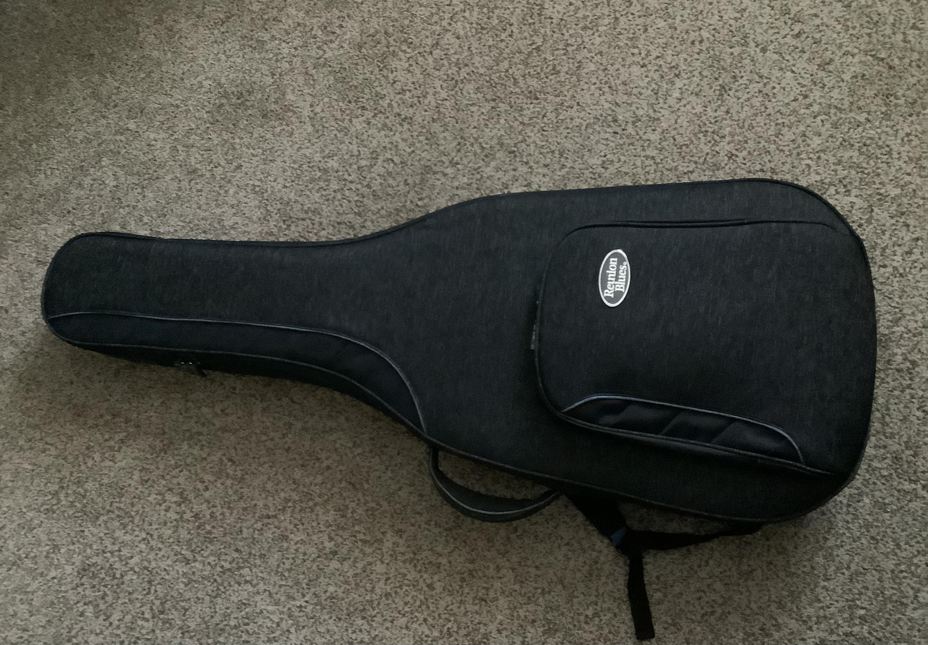 Gig Bag for Vintage Gibson ES-175T-img_0766-jpg