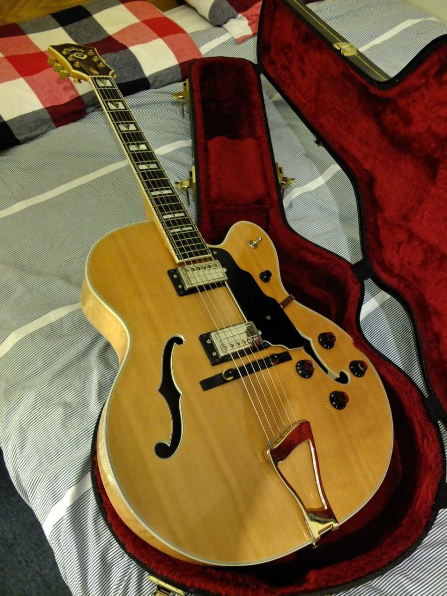 A Fine Collection Of Beautiful Archtops (Get Your Hand Cream Ready :-)))-dscf1337-jpg