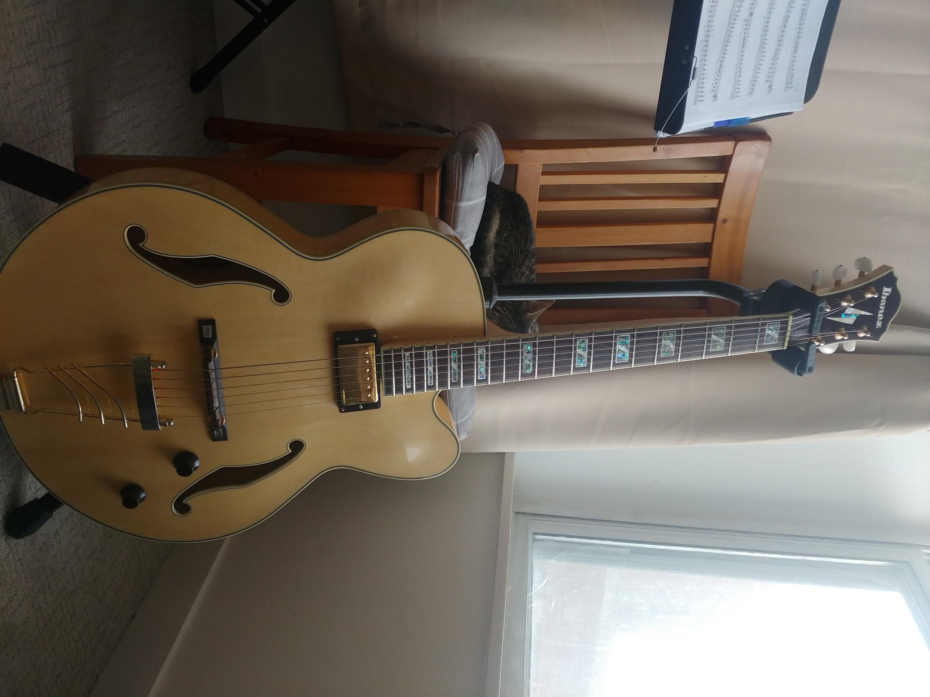 Ibanez PM35 - also, case recommendations?-pm35-1-jpg