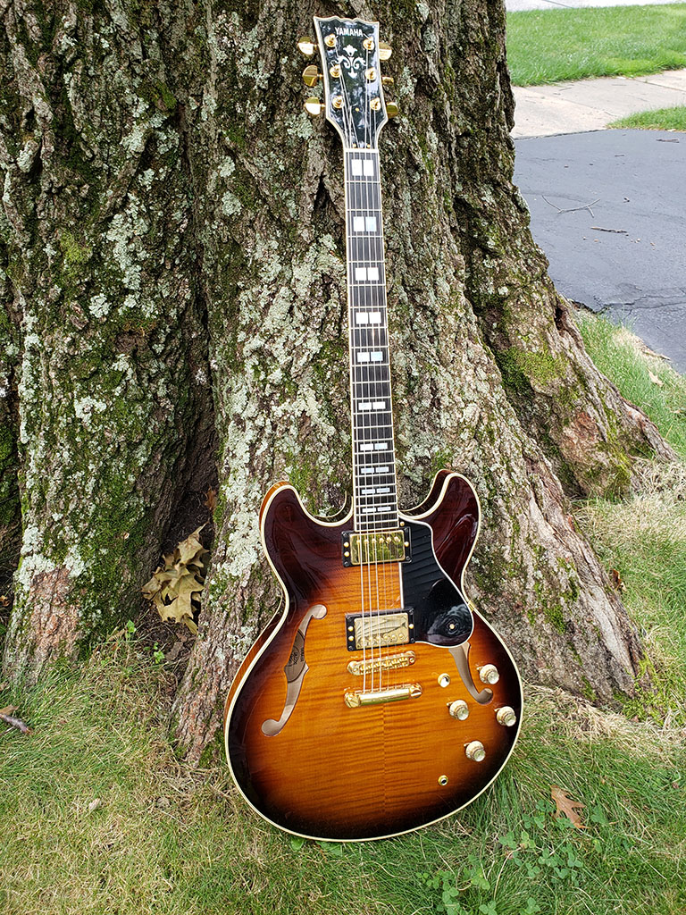 ES-335 style guitar love thread, no telecasters allowed-sa2200-small-jpg