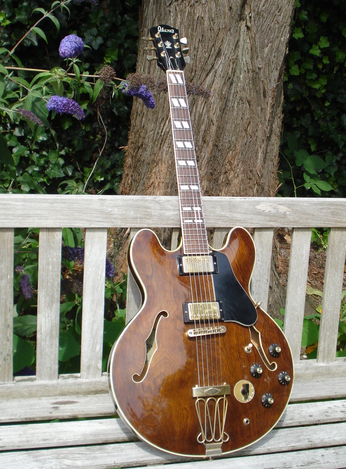 ES-335 style guitar love thread, no telecasters allowed-ibanez-es345-jpg