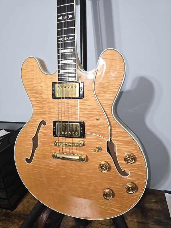 ES-335 style guitar love thread, no telecasters allowed-53590969501_997c9a28fe_c-jpg