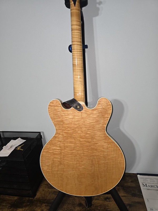 ES-335 style guitar love thread, no telecasters allowed-53591415565_d726a6ceb9_c-jpg