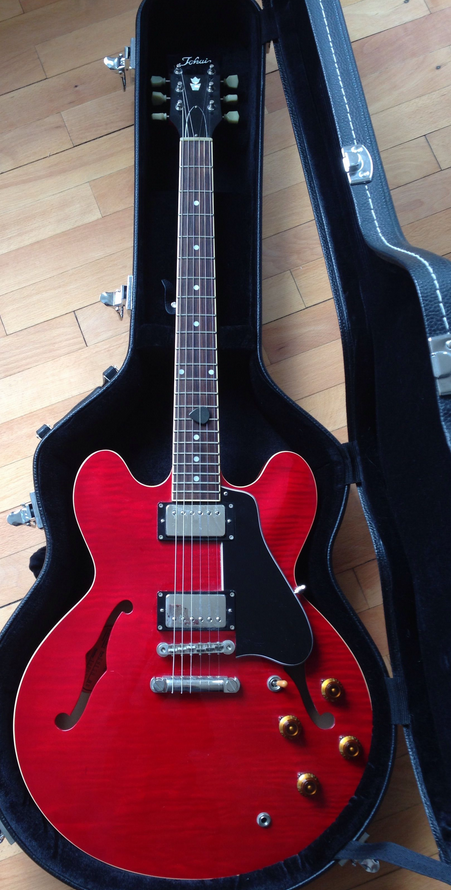 ES-335 style guitar love thread, no telecasters allowed-tokai-png