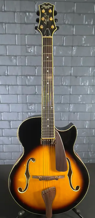 Acoustic Archtop-screenshot_20240326-1727122-png