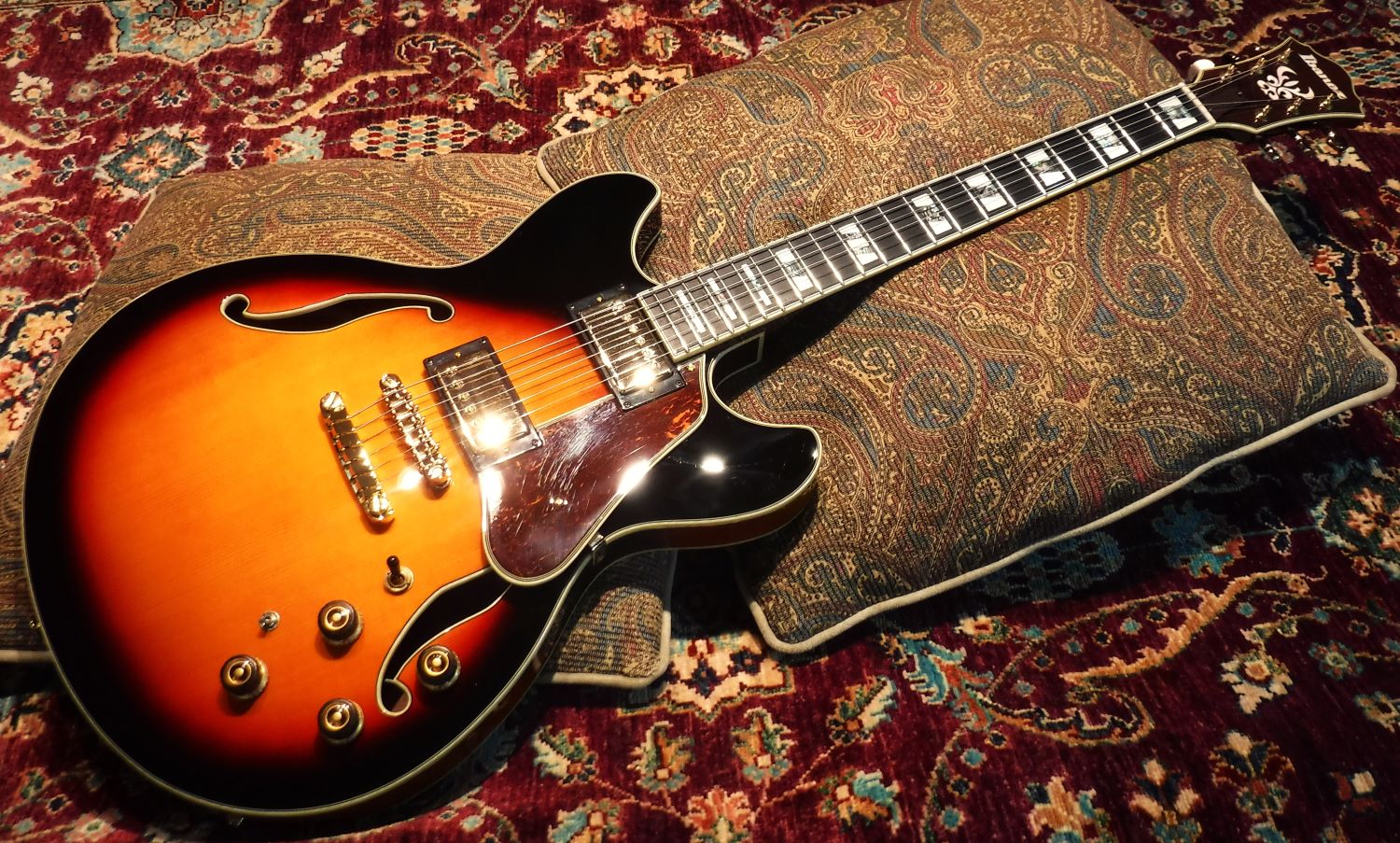 ES-335 style guitar love thread, no telecasters allowed-as113-1-jpg