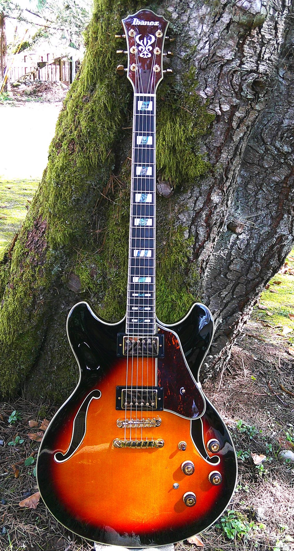 ES-335 style guitar love thread, no telecasters allowed-as113-2-jpg