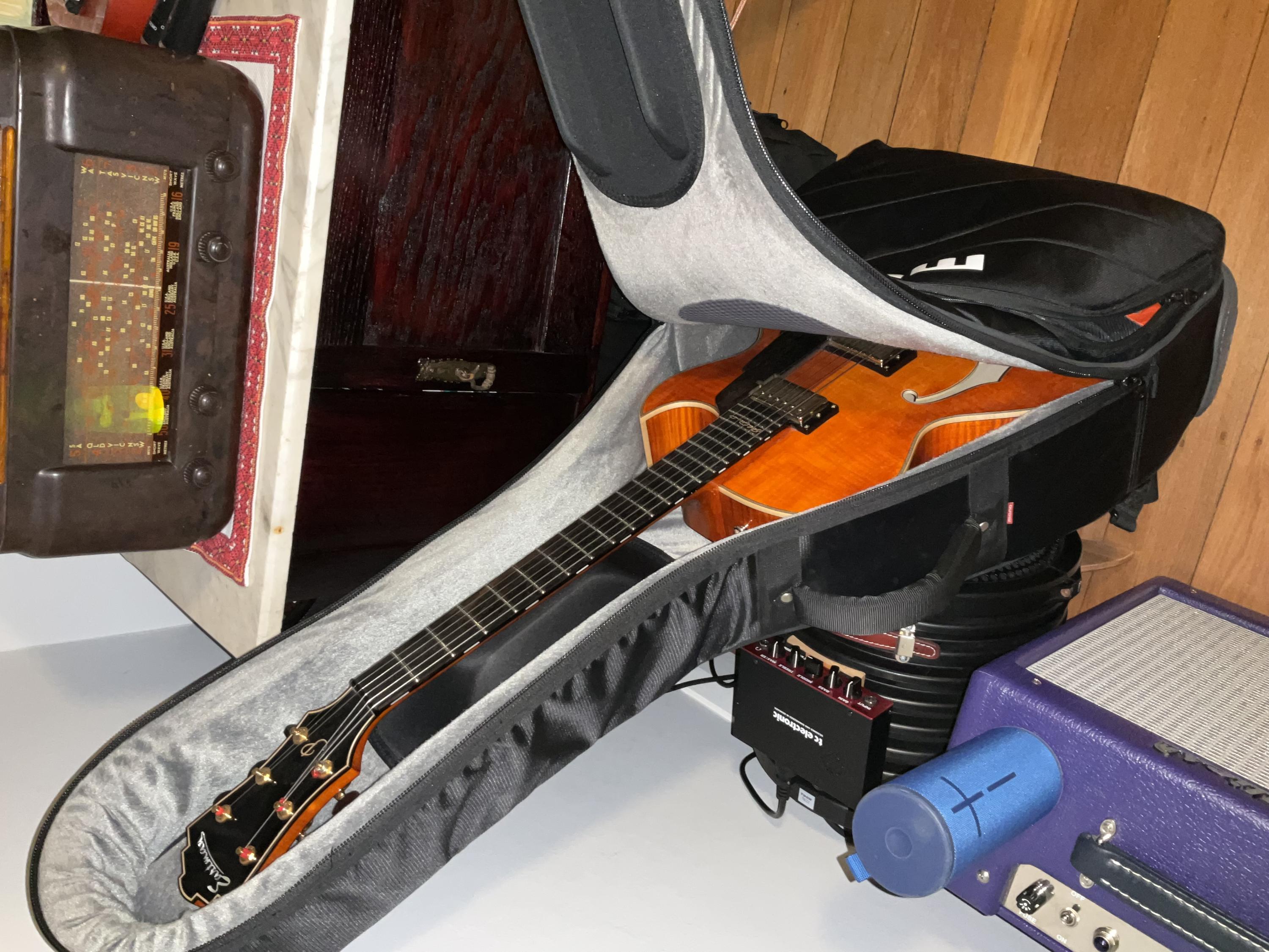Gibson ES-125 body depth and gig bag/case-img_0271-jpg