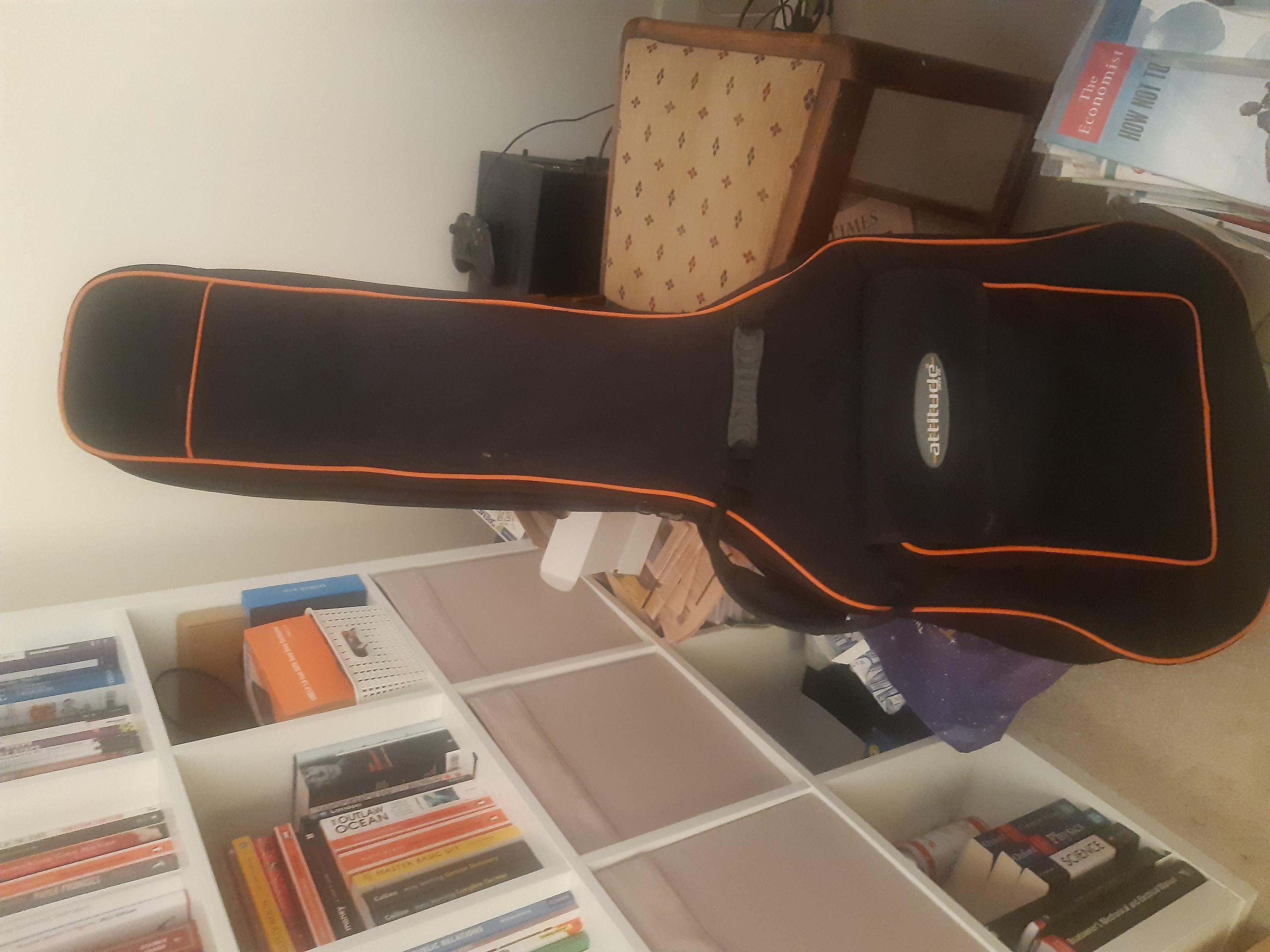 Longer Gig Bag-20240413_133810-jpg
