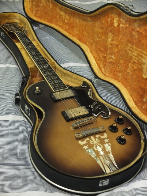 Ever get a guitar shipped only in the case?-agent-1-jpg