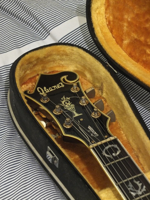 Ever get a guitar shipped only in the case?-agent-2-jpg