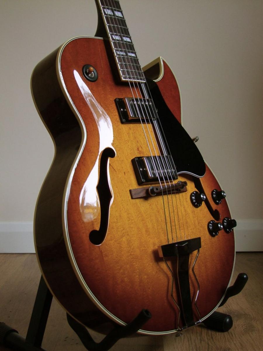 Jazz Guitar Gear for University-dscf2198-jpg