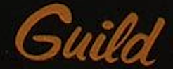 Family Reunited After 33 Years.-guild-logo-png