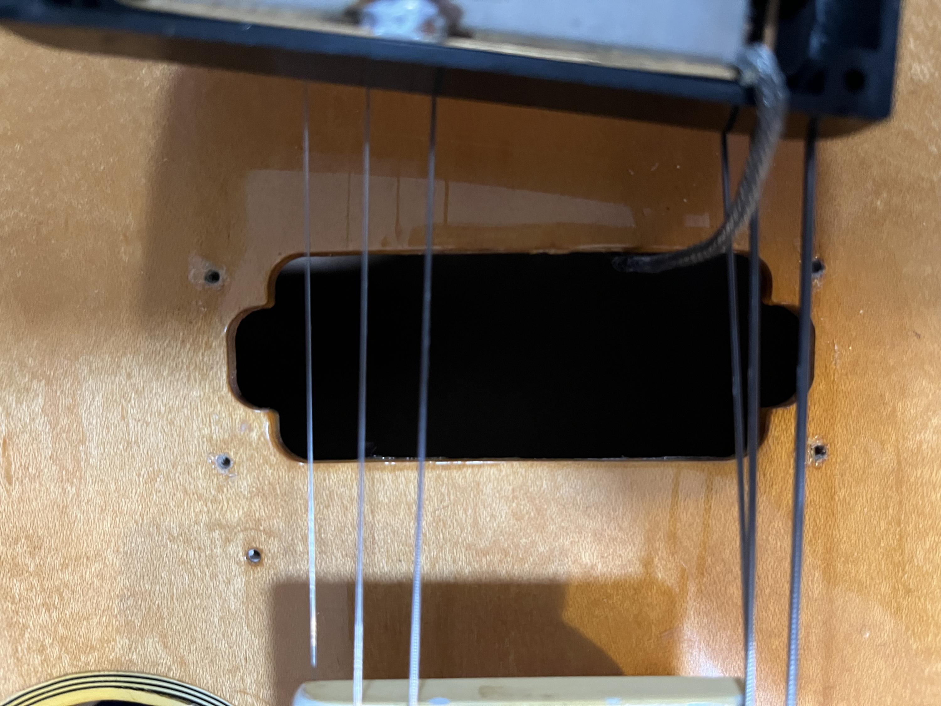 NGD and a Mystery - Epiphone Content-img_0086-jpg