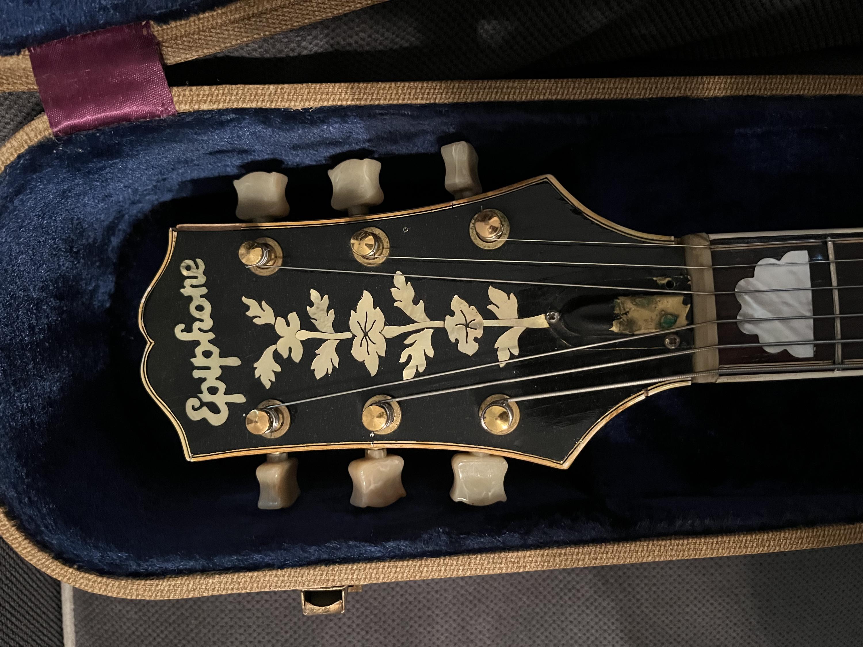 NGD and a Mystery - Epiphone Content-img_0090-jpg
