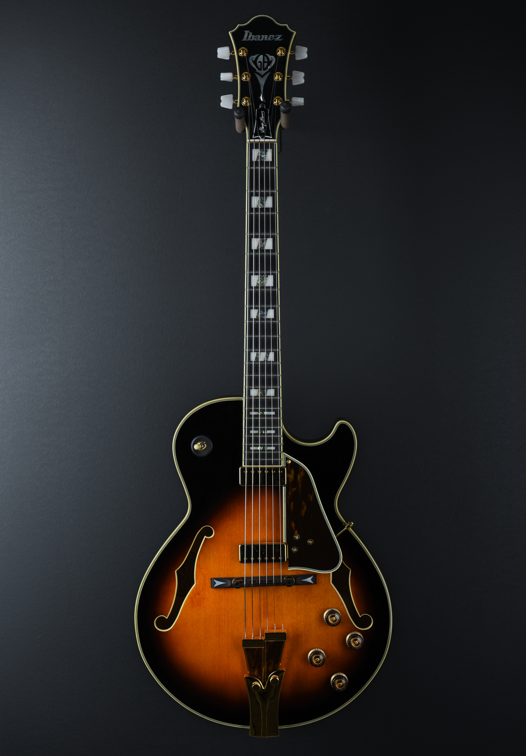 Show Off Your Main Squeeze! Post a pic of the guitar you consider “the One.”-dcs_1658-jpg