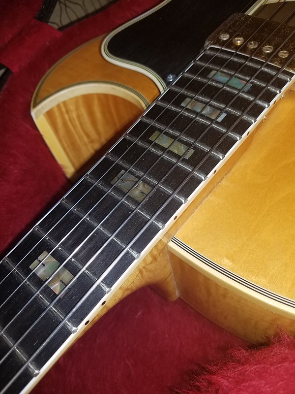 Japanese MANN Howard Roberts guitar (Ibanez 2453 ?)-50464490698_85acd7ccb8_c-jpg