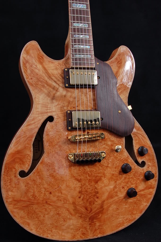 Ibanez Prestige AS200 and AF200-dsc_0005-jpg