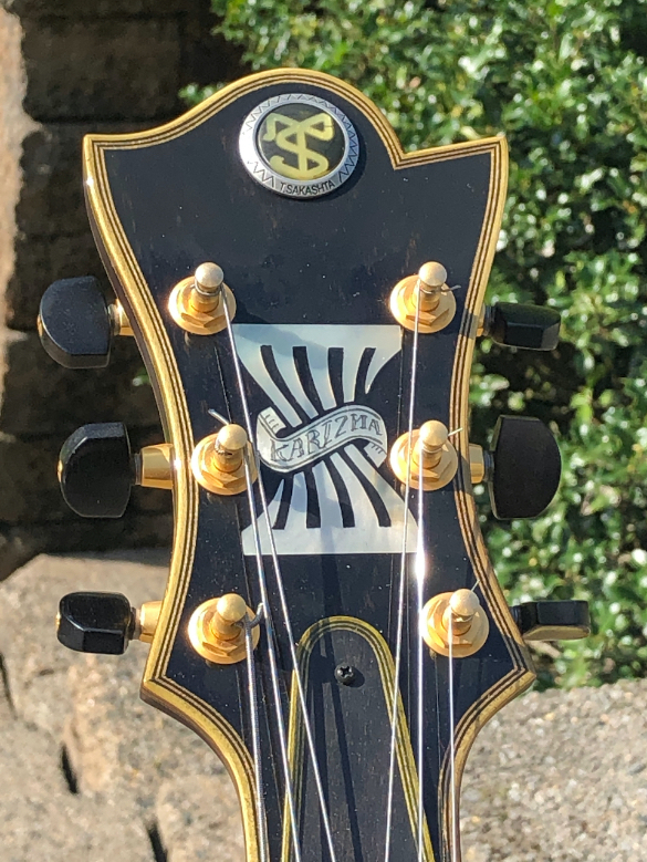 The coolest Archtop I've owned - Sakashta-img_1997-jpg