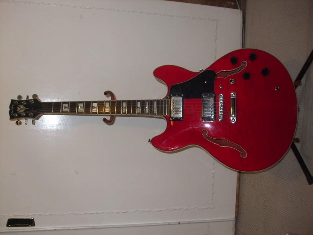 ES-335 style guitar love thread, no telecasters allowed-fb_img_1587026734589-jpg